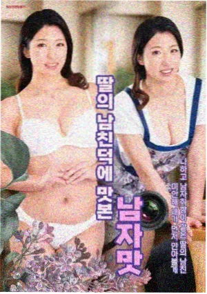 海岸线以北剧集封面